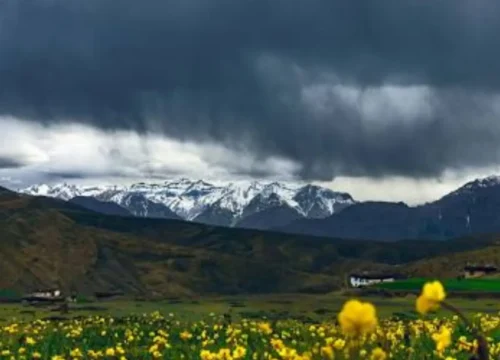 Valley of Flowers Trek – A Floral Paradise in Uttarakhand
