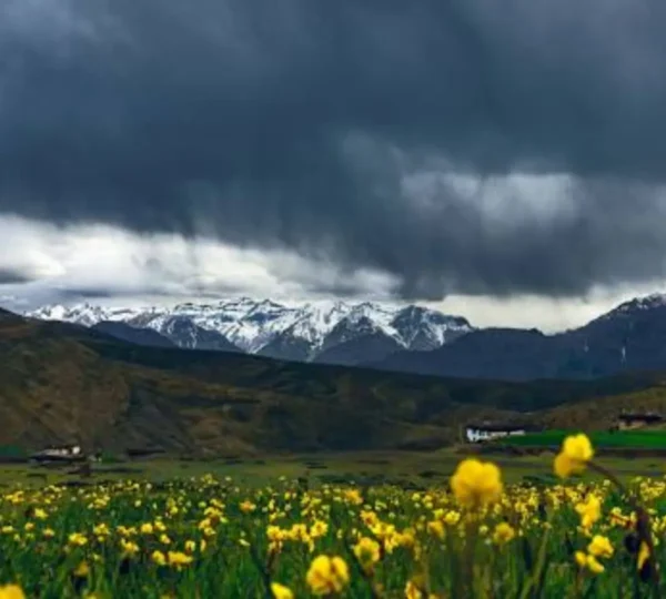 valley of flowers trek