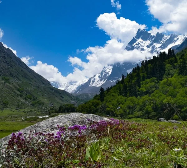 Har Ki Dun Trek