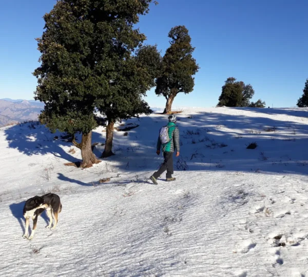 Deo Tibba Trek