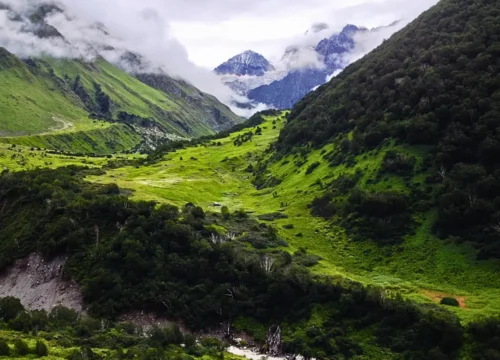 Hemkund Sahib Trek – A Spiritual & Scenic Himalayan Journey